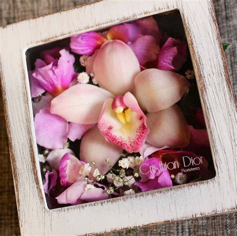 fotos de cristhian dior floristeria - Unveiling the Secrets of Fotos de Cristhian Dior Floristeria.